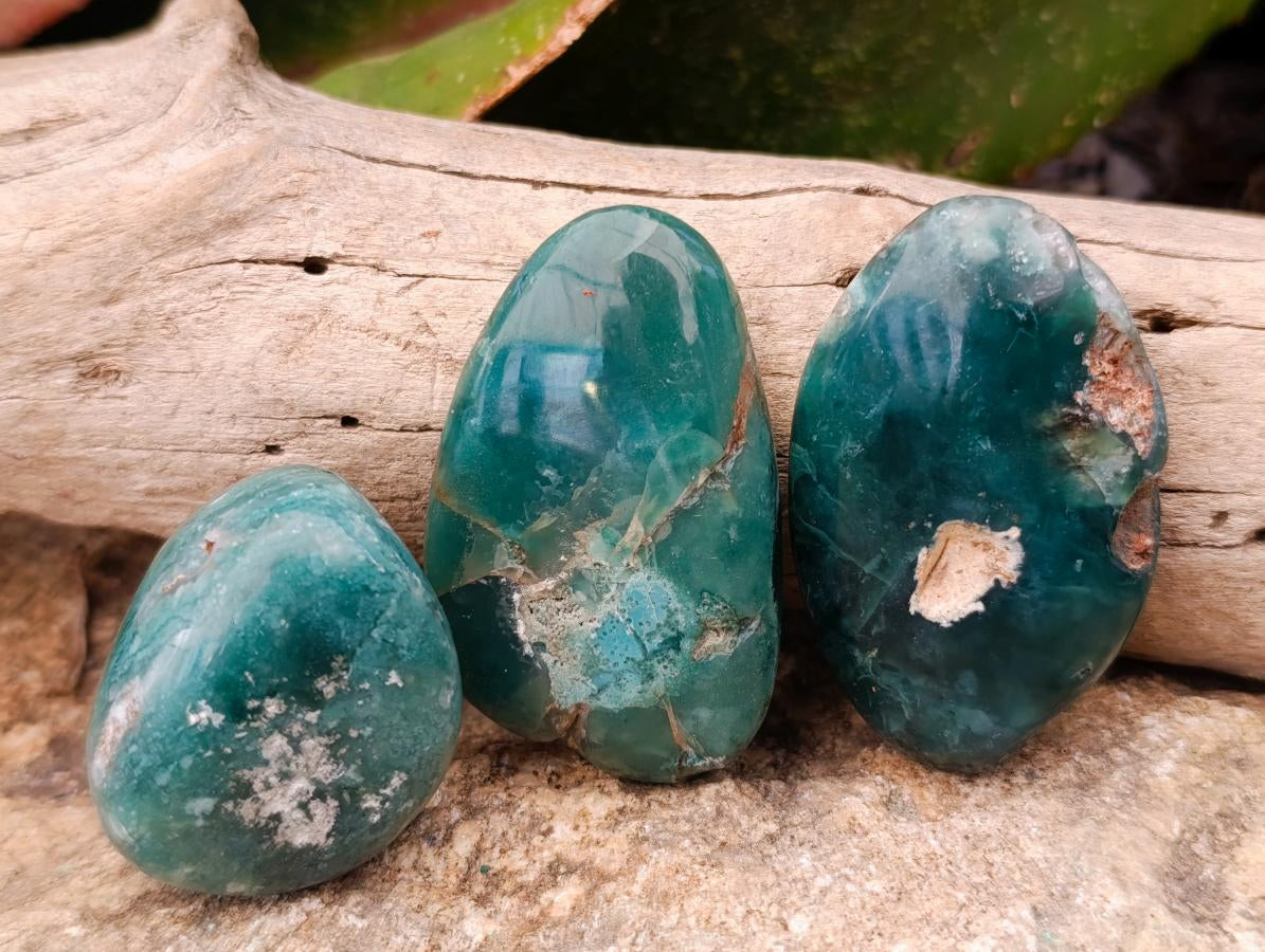 Polished Mixed Selected Minerals x 24 From Zimbabwe