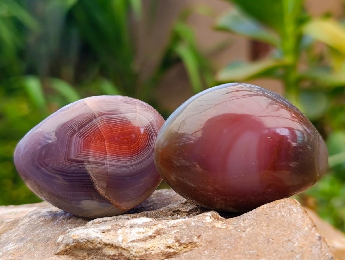 Polished Mixed Selected Minerals x 24 From Zimbabwe