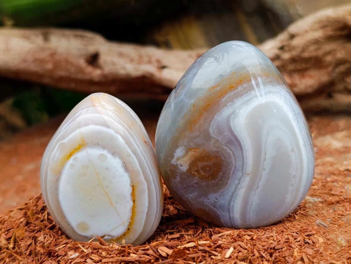 Polished Mixed Selected Minerals x 24 From Zimbabwe