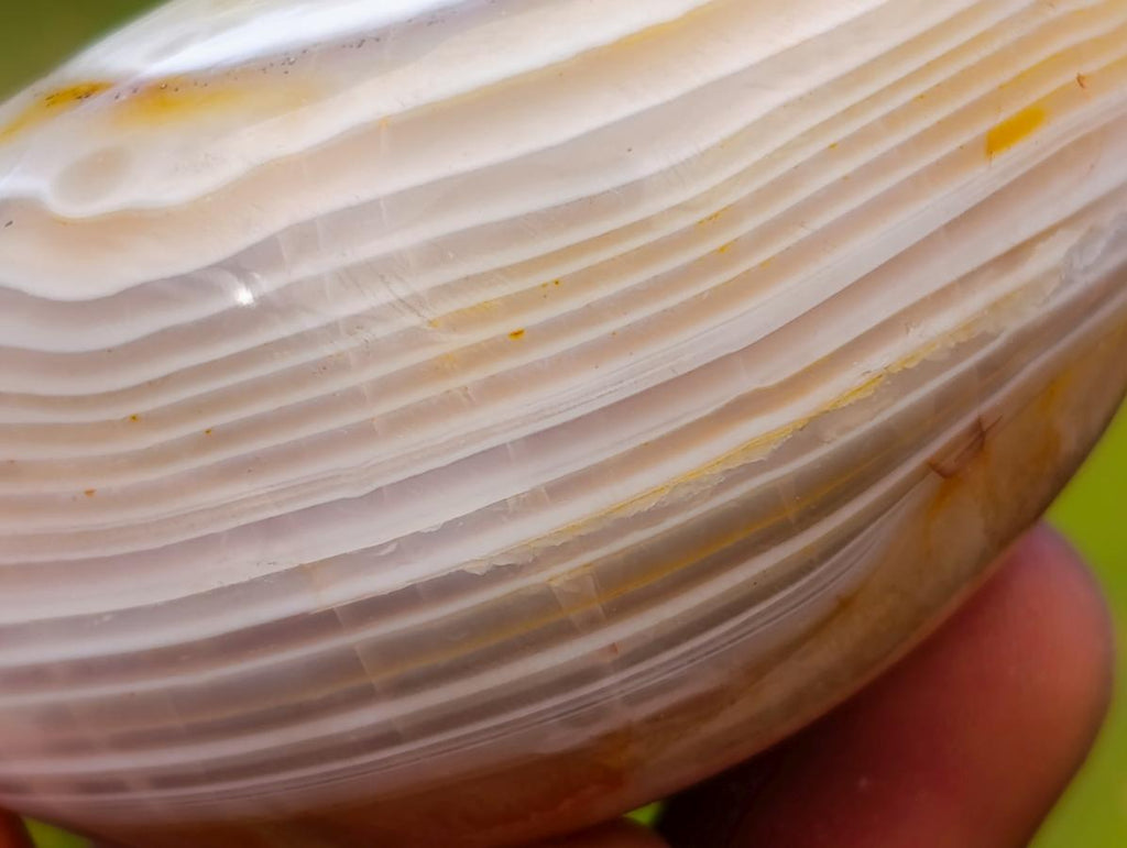 Polished Mixed Selected Minerals x 24 From Zimbabwe