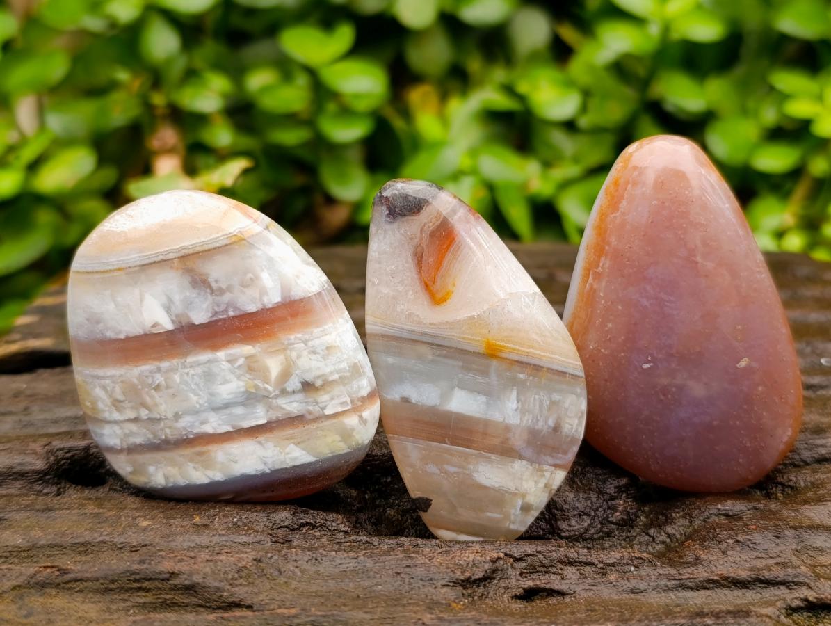 Polished Mixed Selected Minerals x 24 From Zimbabwe