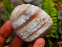 Polished Mixed Selected Minerals x 24 From Zimbabwe