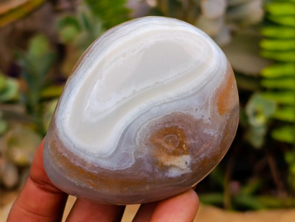 Polished Mixed Selected Minerals x 24 From Zimbabwe