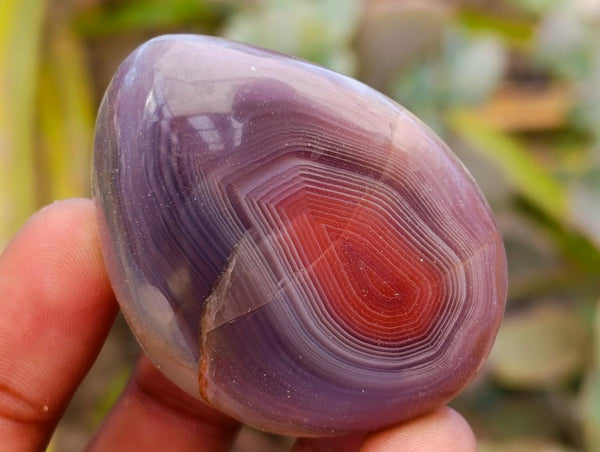 Polished Mixed Selected Minerals x 24 From Zimbabwe