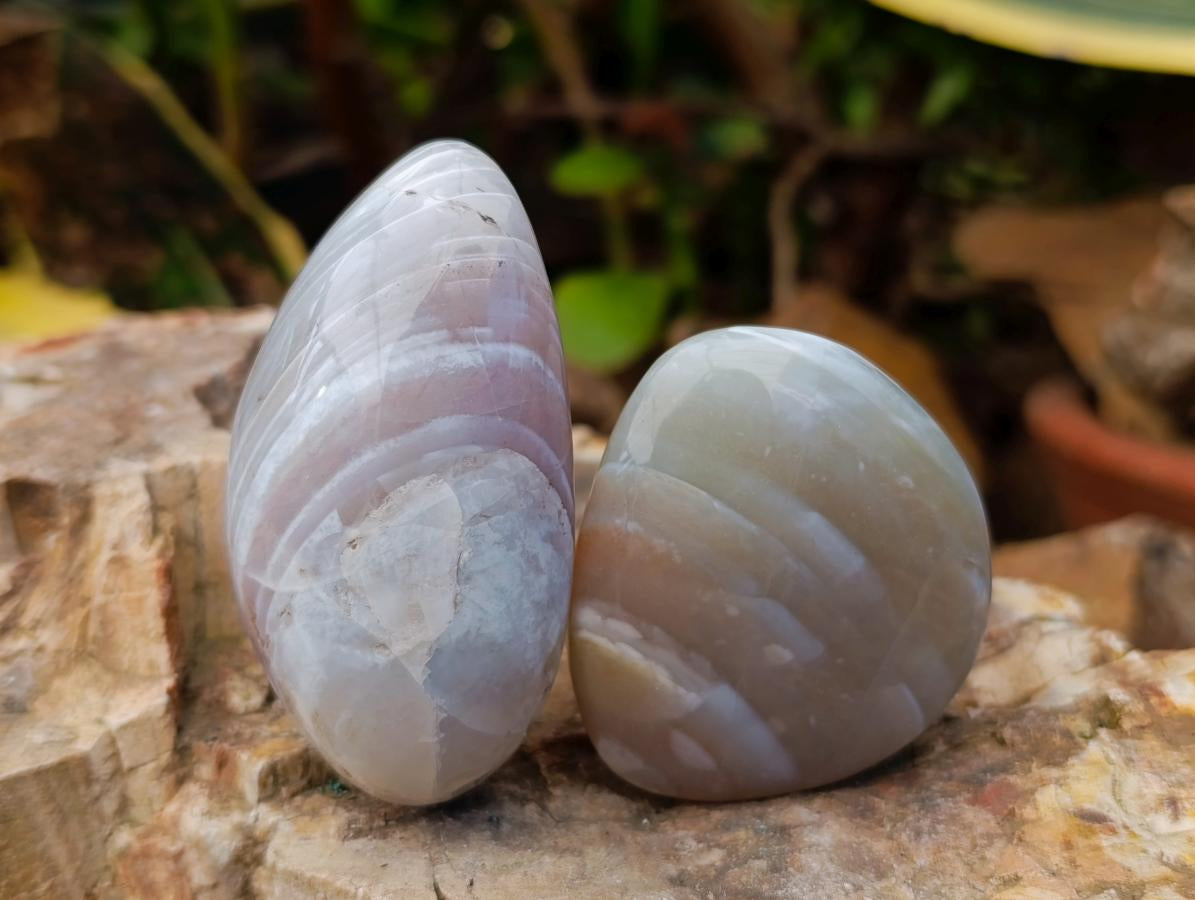 Polished Mixed Selected Minerals x 24 From Zimbabwe