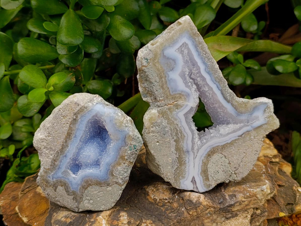 Polished On One Side Blue Lace Agate Geodes x 4 From Nsanje, Malawi