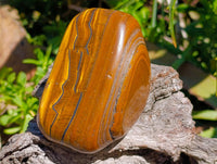 Polished Jumbo Golden Tigers Eye with Banded Iron Stone Free Forms x 4 From Prieska, South Africa