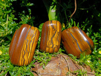 Polished Jumbo Golden Tigers Eye with Banded Iron Stone Free Forms x 4 From Prieska, South Africa
