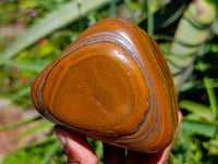 Polished Jumbo Golden Tigers Eye with Banded Iron Stone Free Forms x 4 From Prieska, South Africa