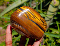 Polished Jumbo Golden Tigers Eye with Banded Iron Stone Free Forms x 4 From Prieska, South Africa