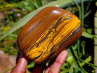 Polished Jumbo Golden Tigers Eye with Banded Iron Stone Free Forms x 4 From Prieska, South Africa