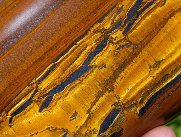 Polished Jumbo Golden Tigers Eye with Banded Iron Stone Free Forms x 4 From Prieska, South Africa