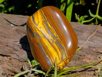 Polished Jumbo Golden Tigers Eye with Banded Iron Stone Free Forms x 4 From Prieska, South Africa