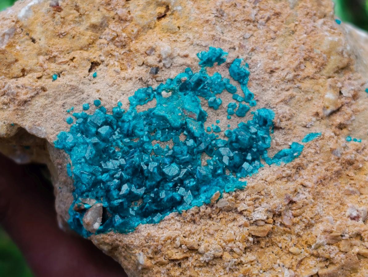Natural Dioptase On Dolomite Specimen x 1 From Likasi, Congo