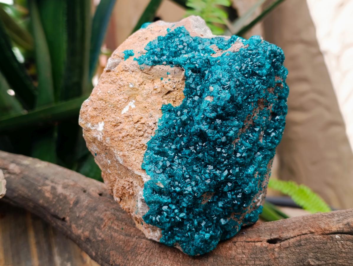 Natural Dioptase On Dolomite Specimen x 1 From Likasi, Congo