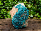 Natural Dioptase On Dolomite Specimen x 1 From Likasi, Congo