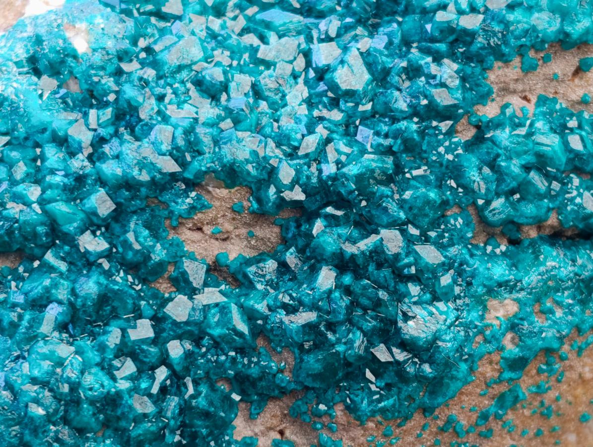 Natural Dioptase On Dolomite Specimen x 1 From Likasi, Congo