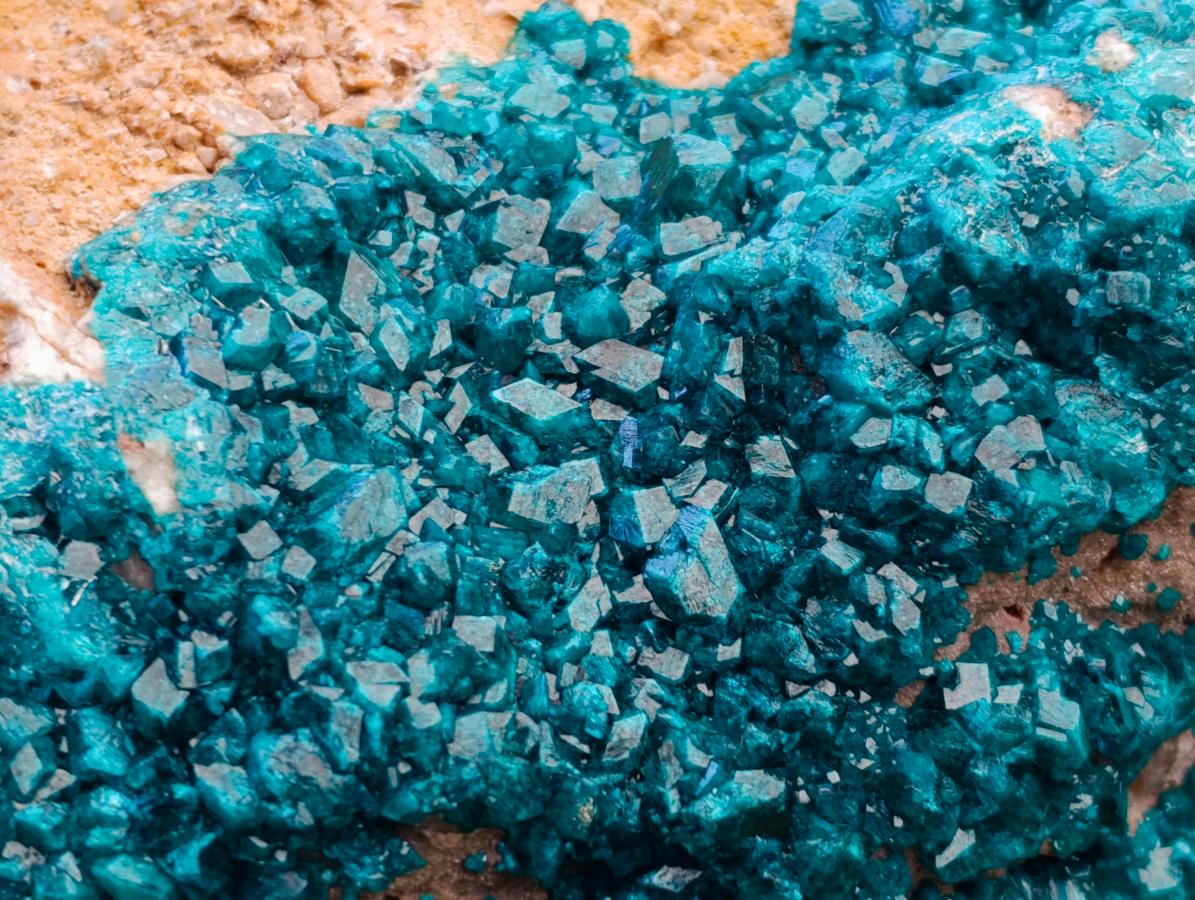 Natural Dioptase On Dolomite Specimen x 1 From Likasi, Congo