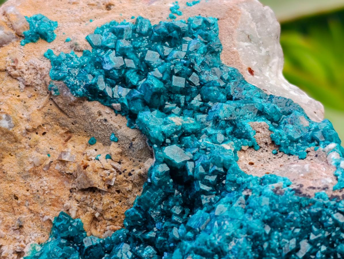 Natural Dioptase On Dolomite Specimen x 1 From Likasi, Congo