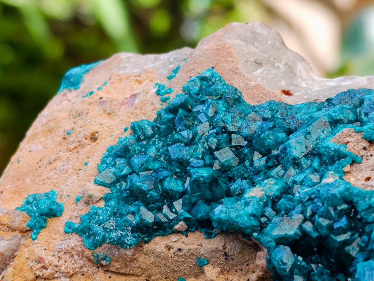 Natural Dioptase On Dolomite Specimen x 1 From Likasi, Congo