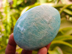 Polished Amazonite Palm Stones x 12 From Madagascar