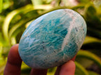 Polished Amazonite Palm Stones x 12 From Madagascar