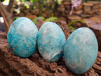 Polished Amazonite Palm Stones x 12 From Madagascar