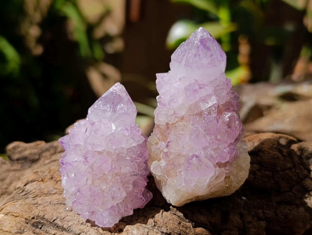 Natural Sunburst Amethyst Spirit Clusters x 20 From Boekenhouthoek, South Africa