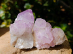 Natural Sunburst Amethyst Spirit Clusters x 20 From Boekenhouthoek, South Africa