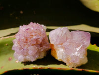 Natural Sunburst Amethyst Spirit Clusters x 20 From Boekenhouthoek, South Africa