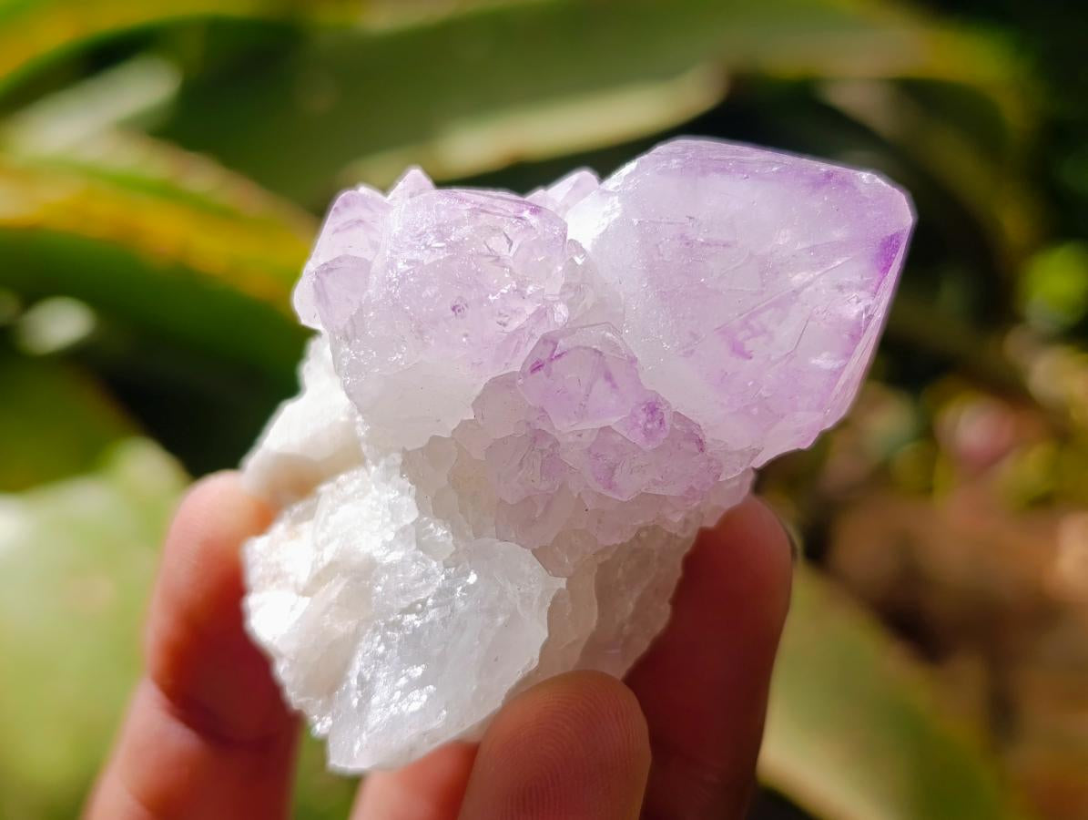Natural Sunburst Amethyst Spirit Clusters x 20 From Boekenhouthoek, South Africa