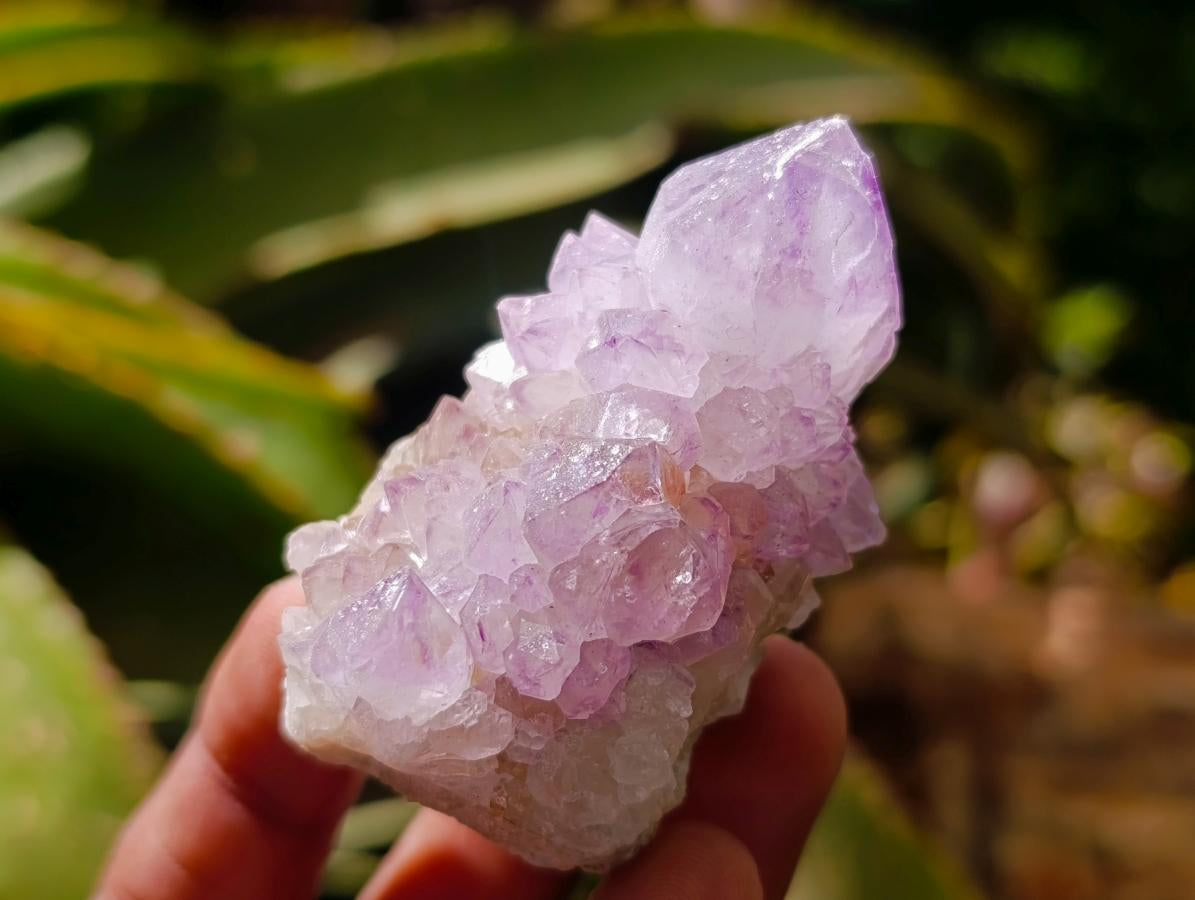 Natural Sunburst Amethyst Spirit Clusters x 20 From Boekenhouthoek, South Africa