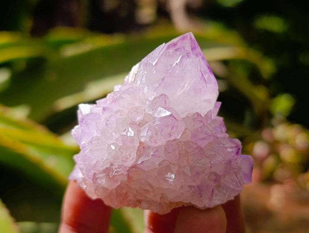 Natural Sunburst Amethyst Spirit Clusters x 20 From Boekenhouthoek, South Africa