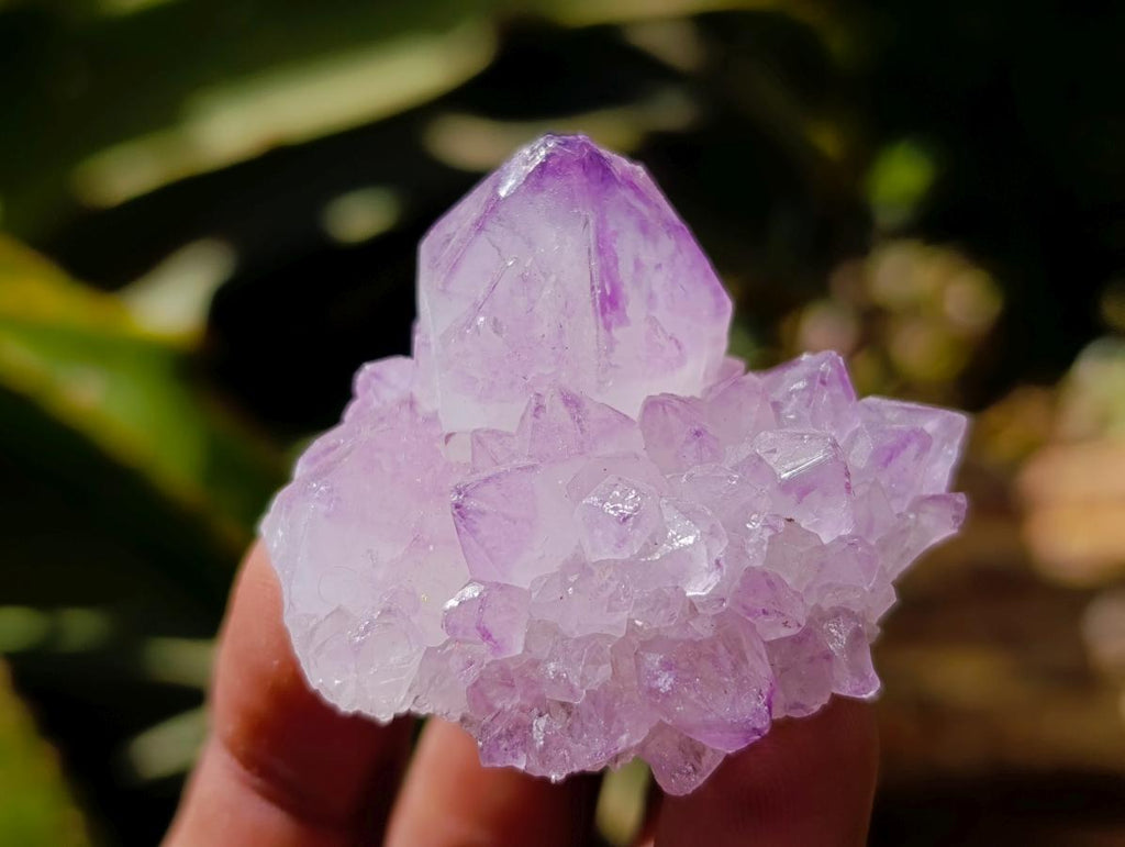Natural Sunburst Amethyst Spirit Clusters x 20 From Boekenhouthoek, South Africa