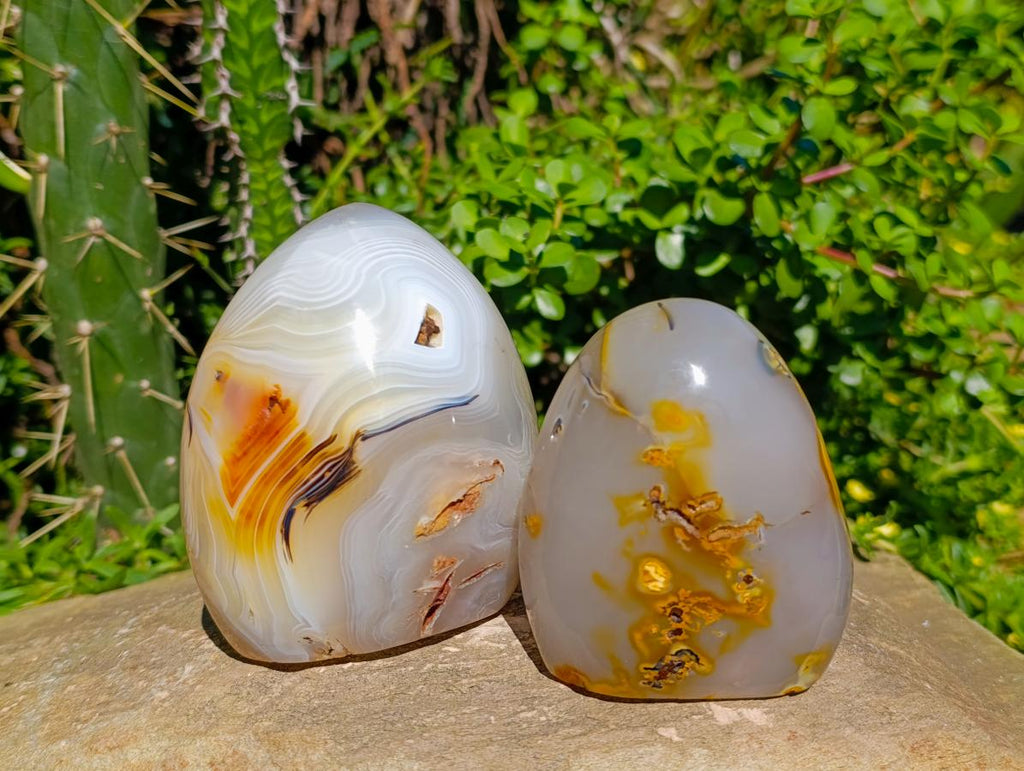 Polished Carnelian Agate Standing Free Forms x 3 From Madagascar