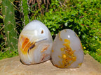 Polished Carnelian Agate Standing Free Forms x 3 From Madagascar
