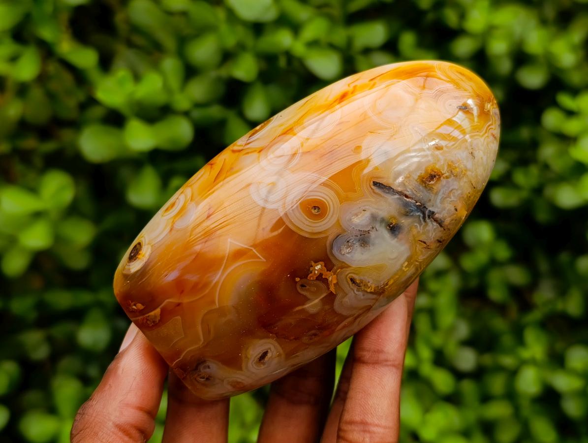 Polished Carnelian Agate Standing Free Forms x 3 From Madagascar