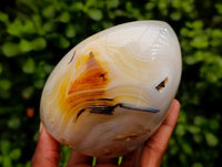 Polished Carnelian Agate Standing Free Forms x 3 From Madagascar