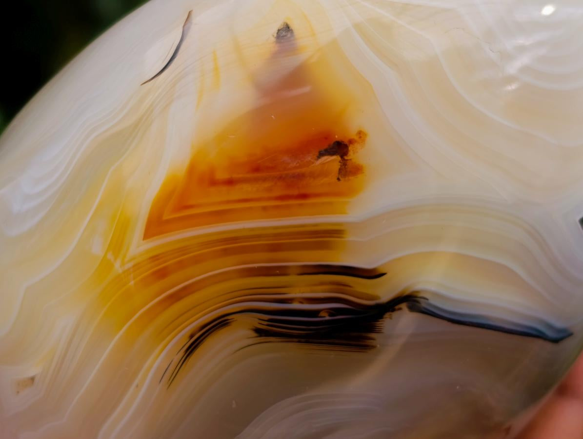 Polished Carnelian Agate Standing Free Forms x 3 From Madagascar