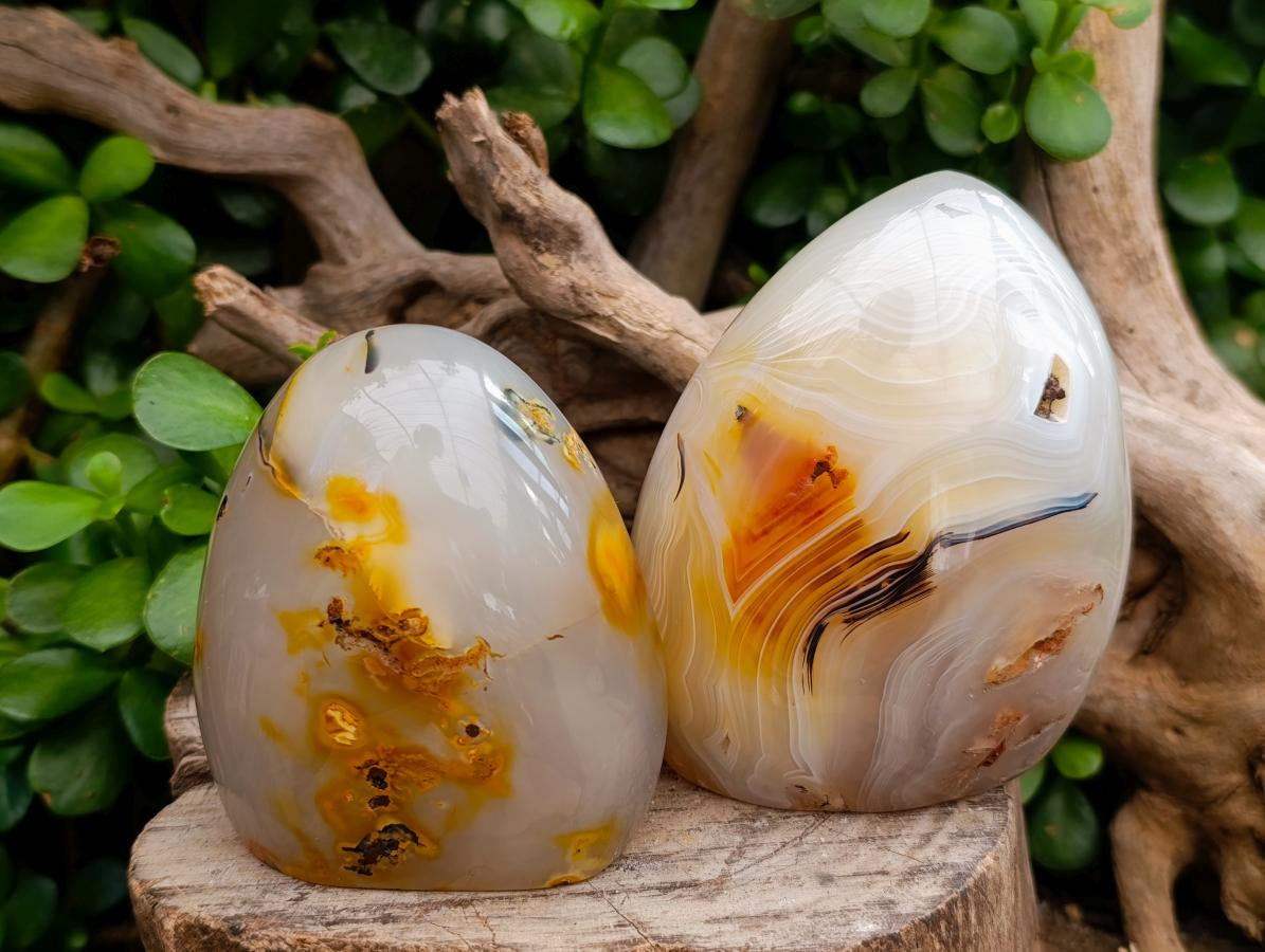 Polished Carnelian Agate Standing Free Forms x 3 From Madagascar