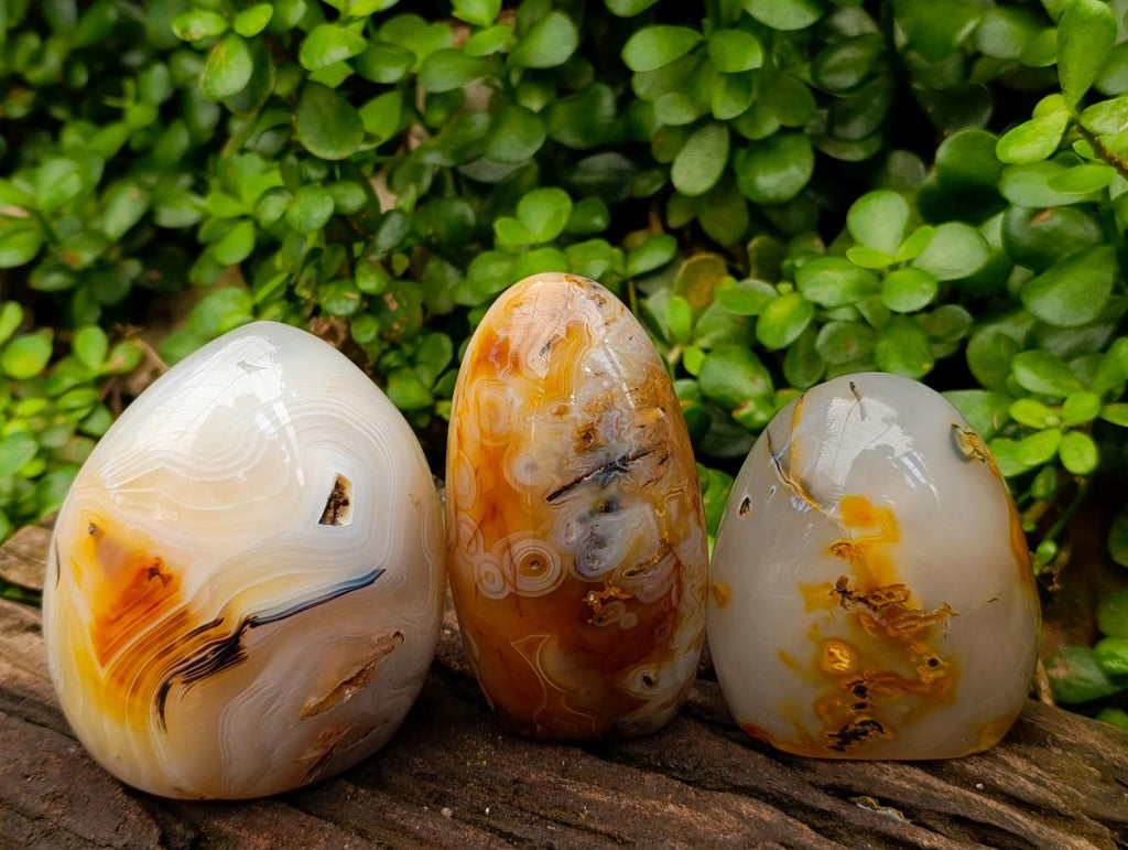 Polished Carnelian Agate Standing Free Forms x 3 From Madagascar