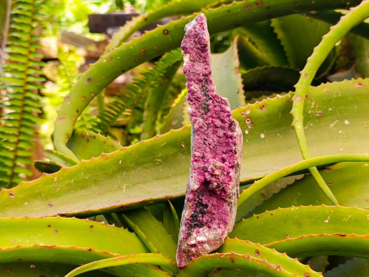 Natural Salrose Cobaltion Dolomite Specimens x 4 From Kakanda, Congo