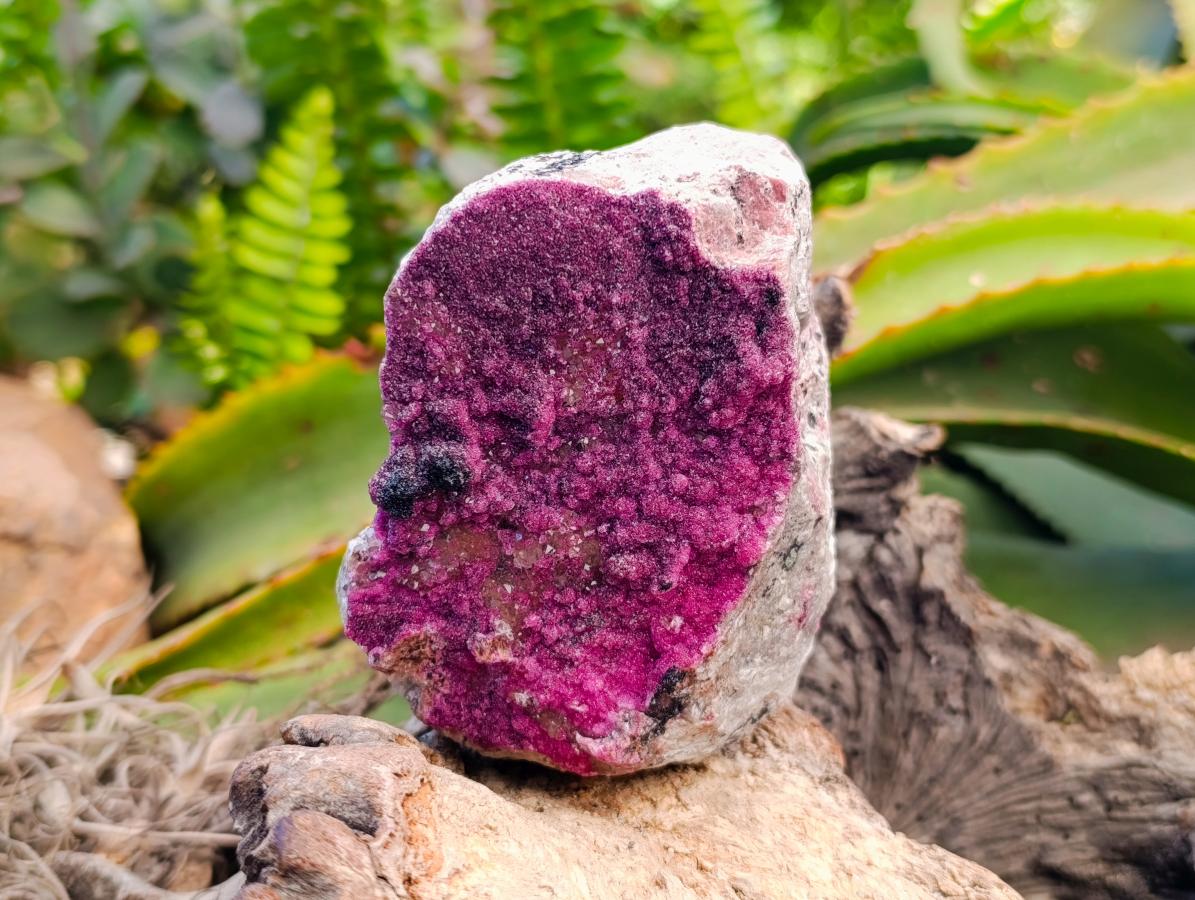 Natural Salrose Cobaltion Dolomite Specimens x 4 From Kakanda, Congo