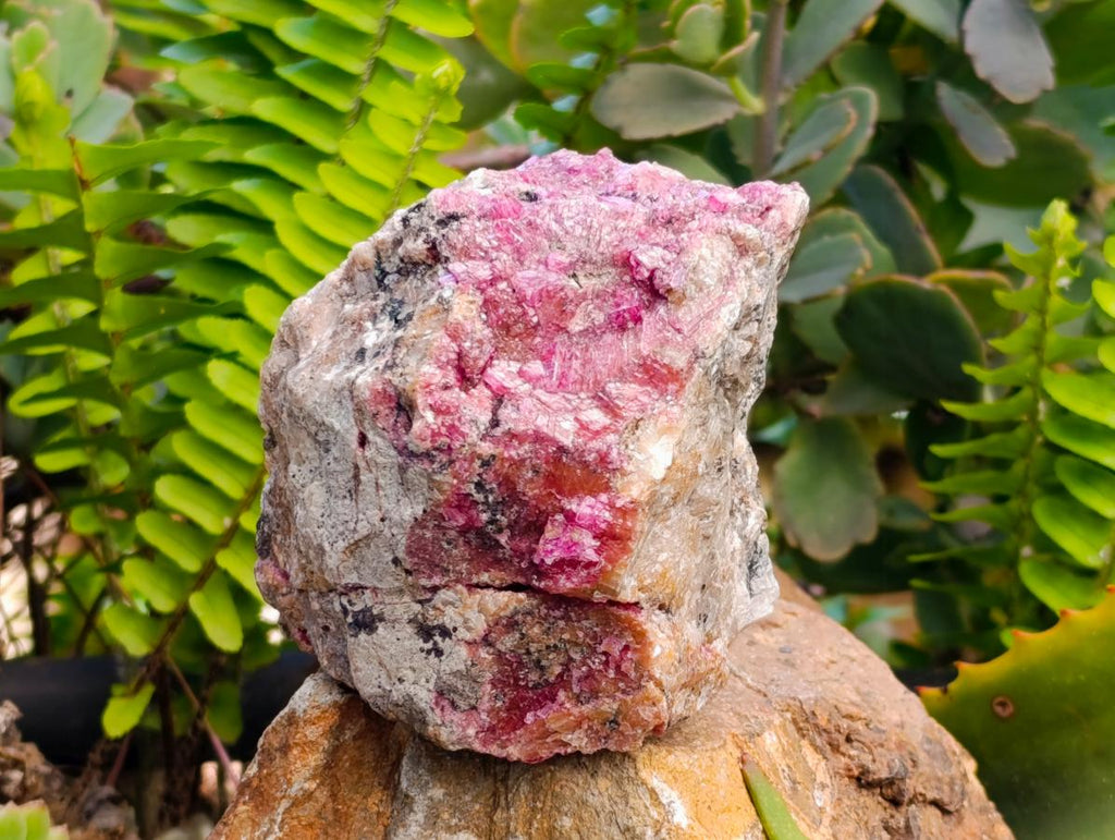 Natural Salrose Cobaltion Dolomite Specimens x 4 From Kakanda, Congo