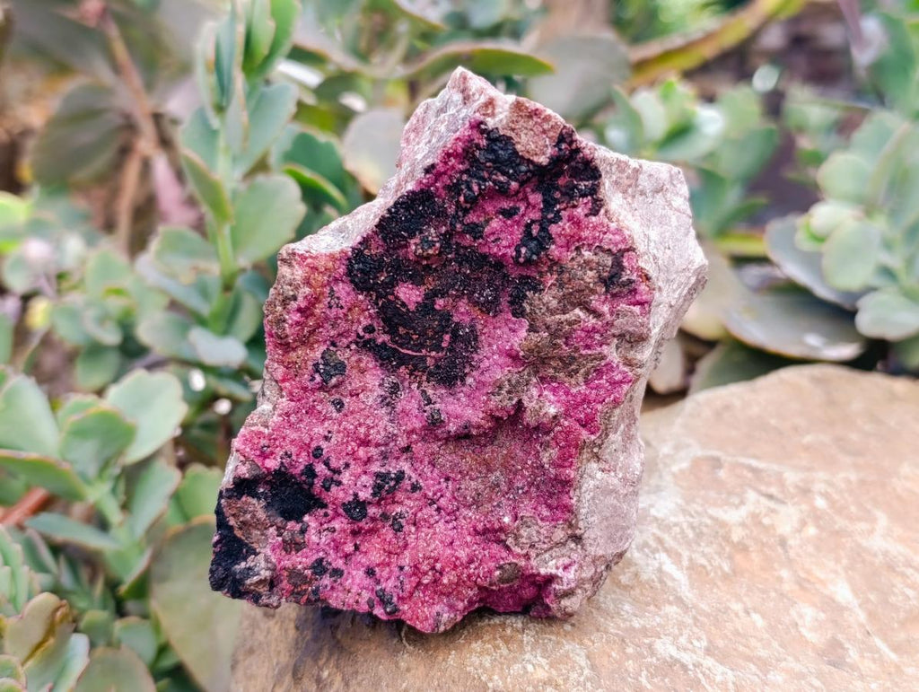 Natural Salrose Cobaltion Dolomite Specimens x 4 From Kakanda, Congo