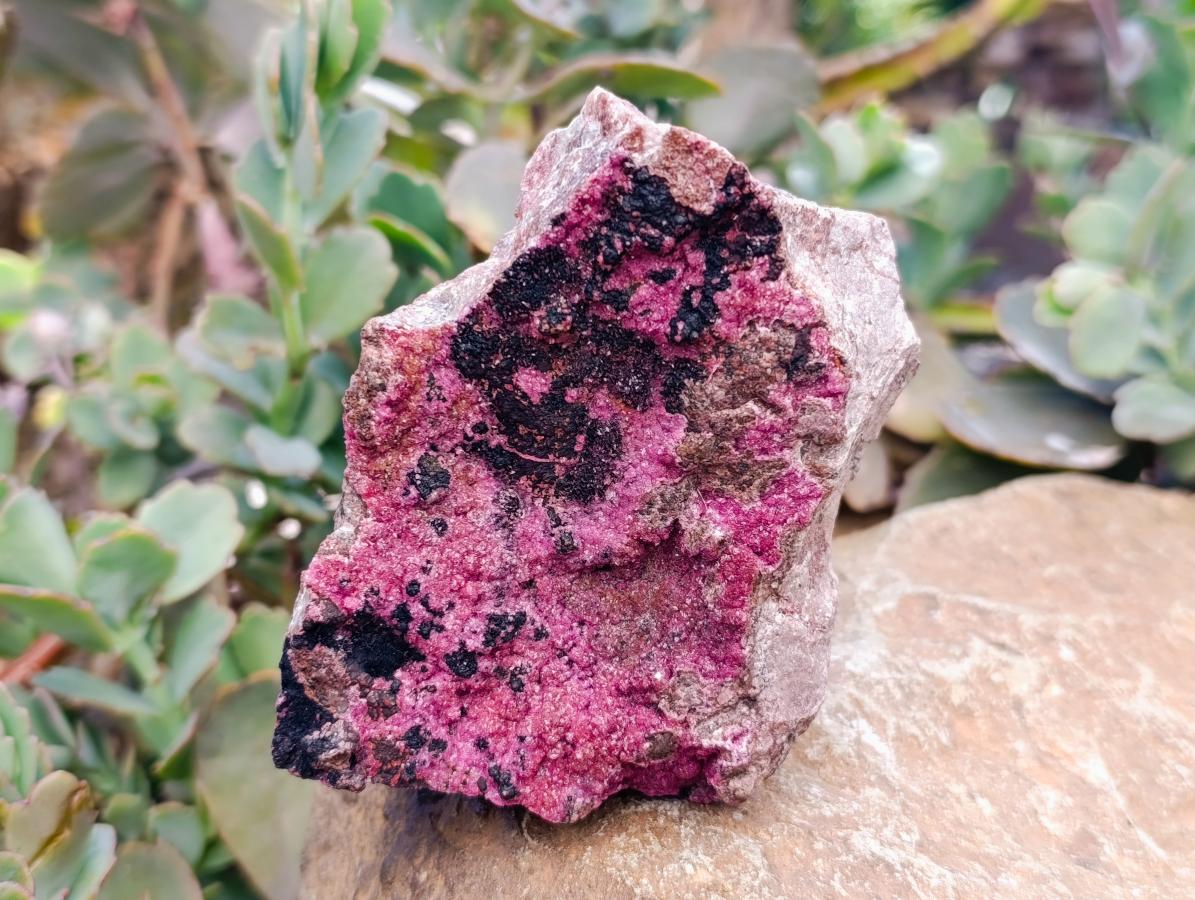 Natural Salrose Cobaltion Dolomite Specimens x 4 From Kakanda, Congo