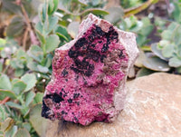 Natural Salrose Cobaltion Dolomite Specimens x 4 From Kakanda, Congo