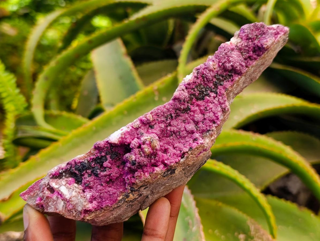 Natural Salrose Cobaltion Dolomite Specimens x 4 From Kakanda, Congo