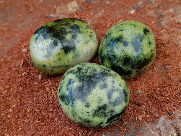 Polished Leopard Stone Free Forms x 12 From Zimbabwe