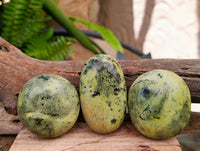 Polished Leopard Stone Free Forms x 12 From Zimbabwe